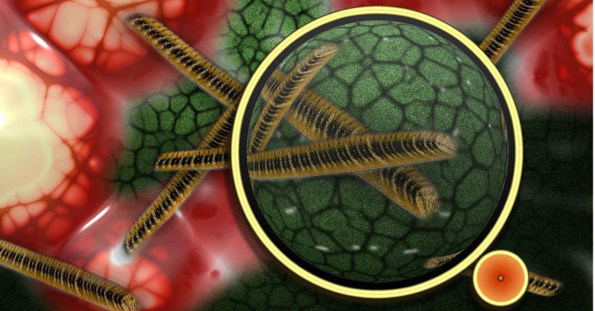  Pobedite bakterije koje uzrokuju akne!