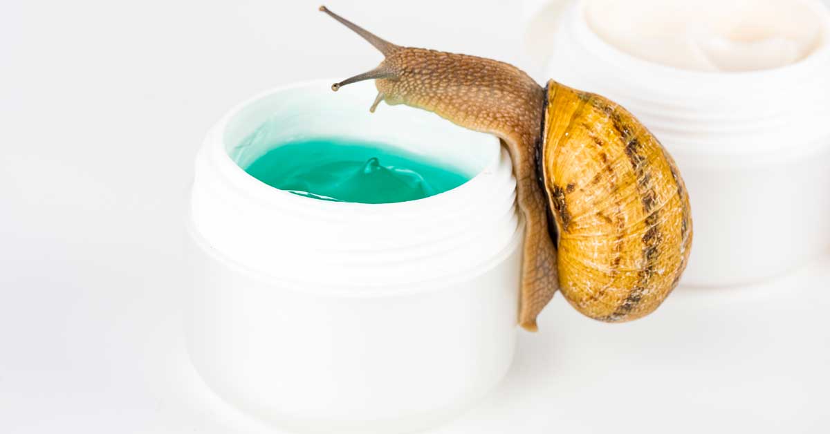 krema od puža za lice