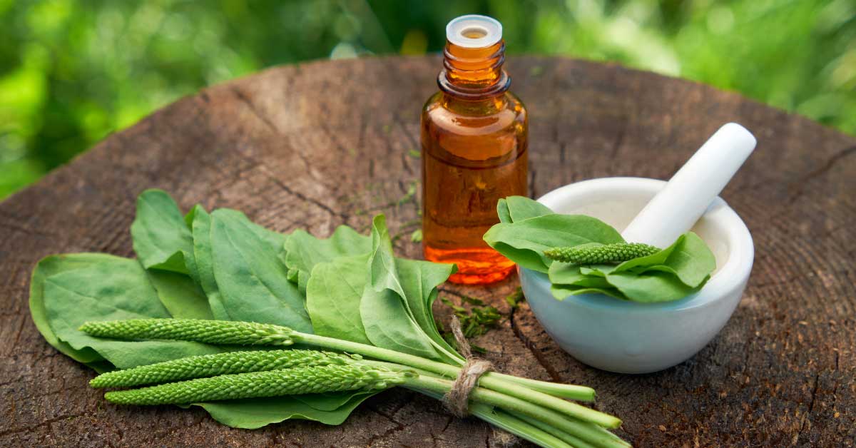 bokvica za bubuljice