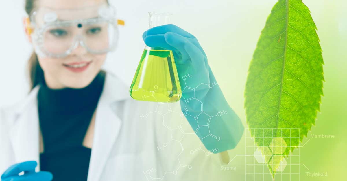 tečni hlorofil za akne