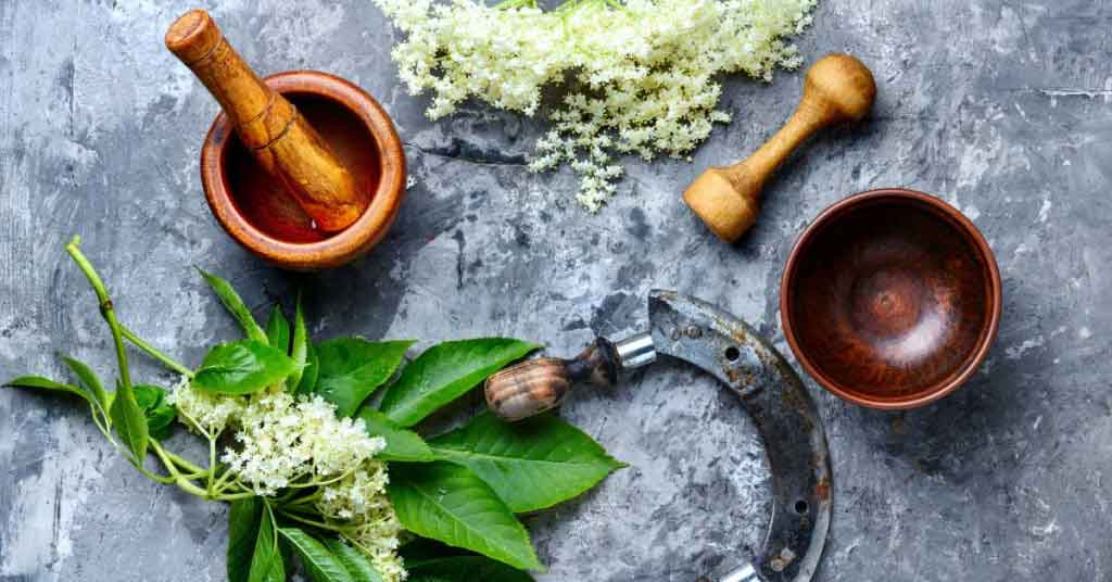 melem od zove za akne